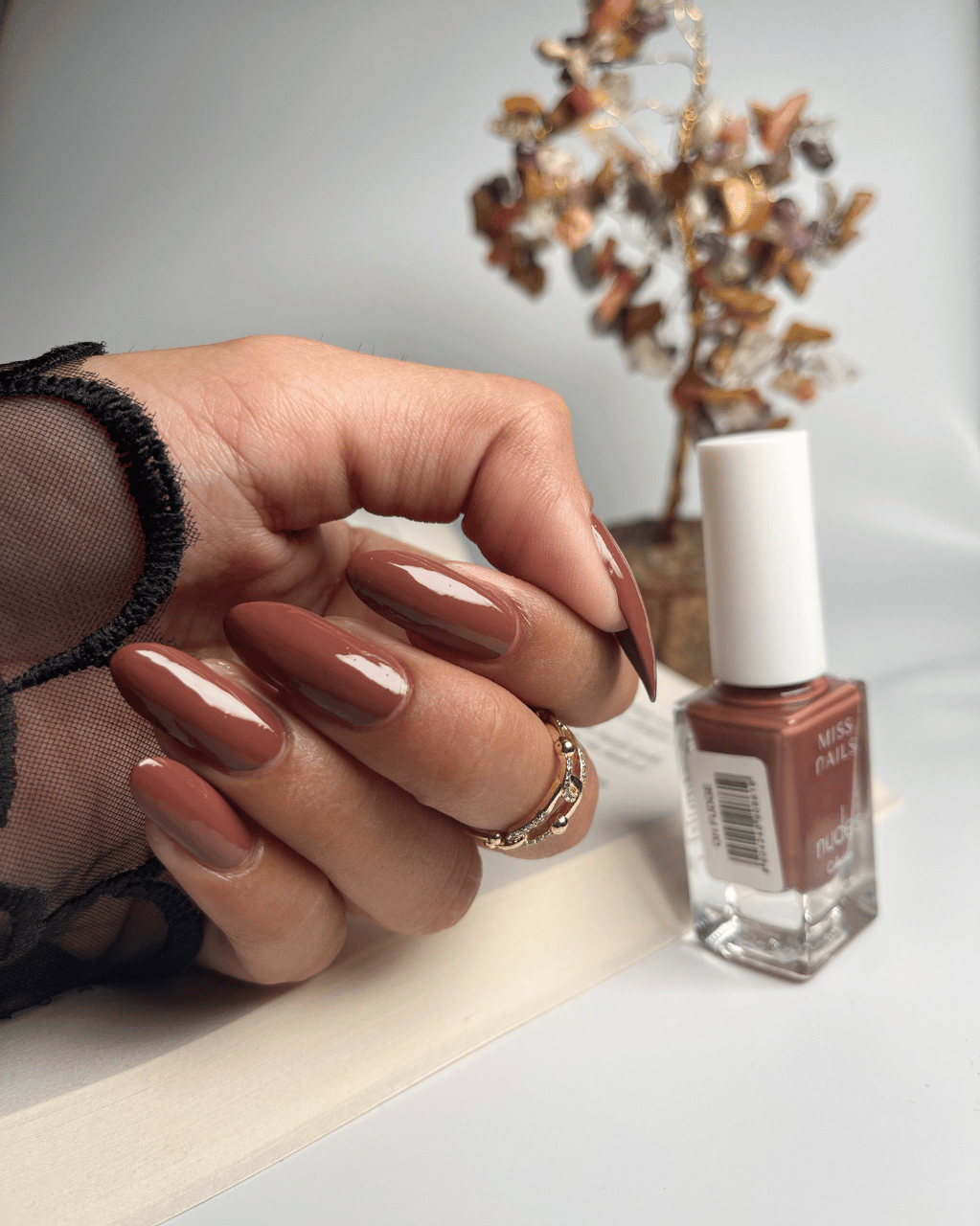 The Nudes Kit (Pack of 5 )