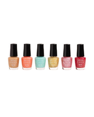 Hey Rockstar - Minis (Pack of 6)