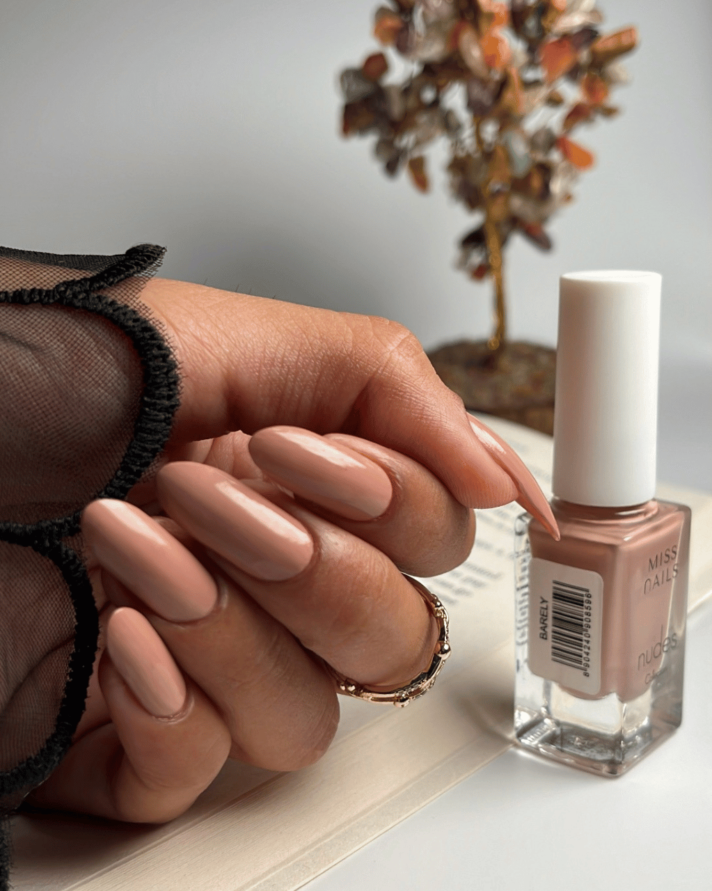 The Nudes Kit (Pack of 5 )