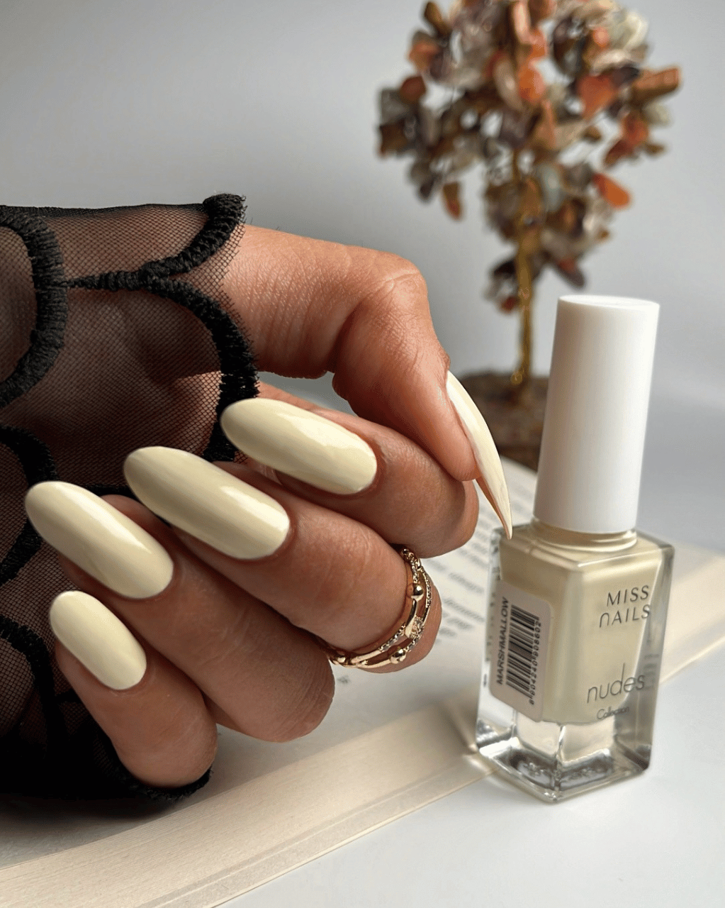 The Nudes Kit (Pack of 5 )