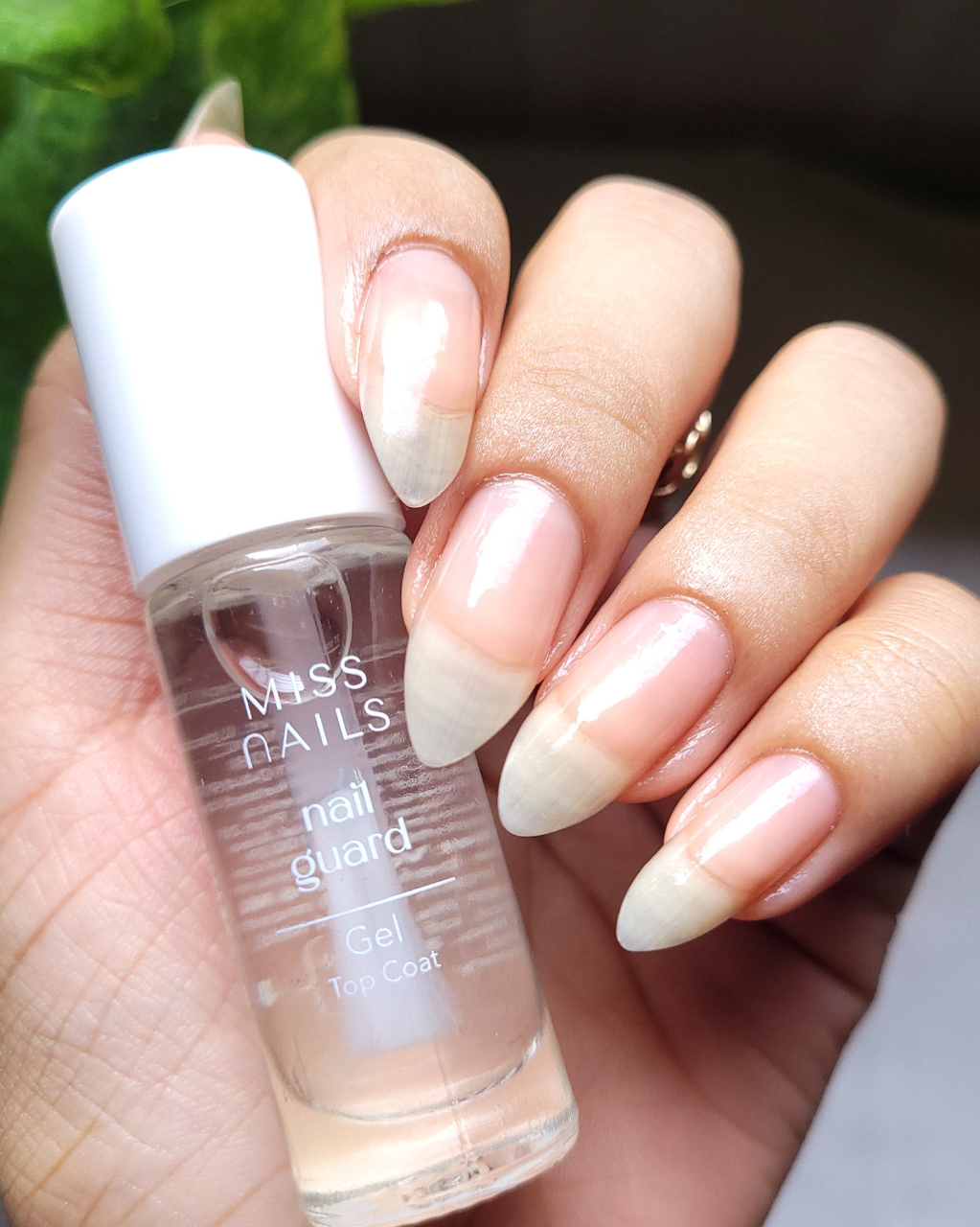 Hand holding a bottle of 'Miss Nails' nail guard with manicured nails in the background. This shows thr gloss of the gel top coat.
