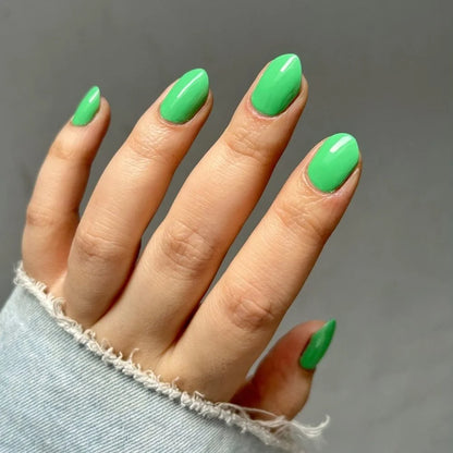 Matcha Love Minis