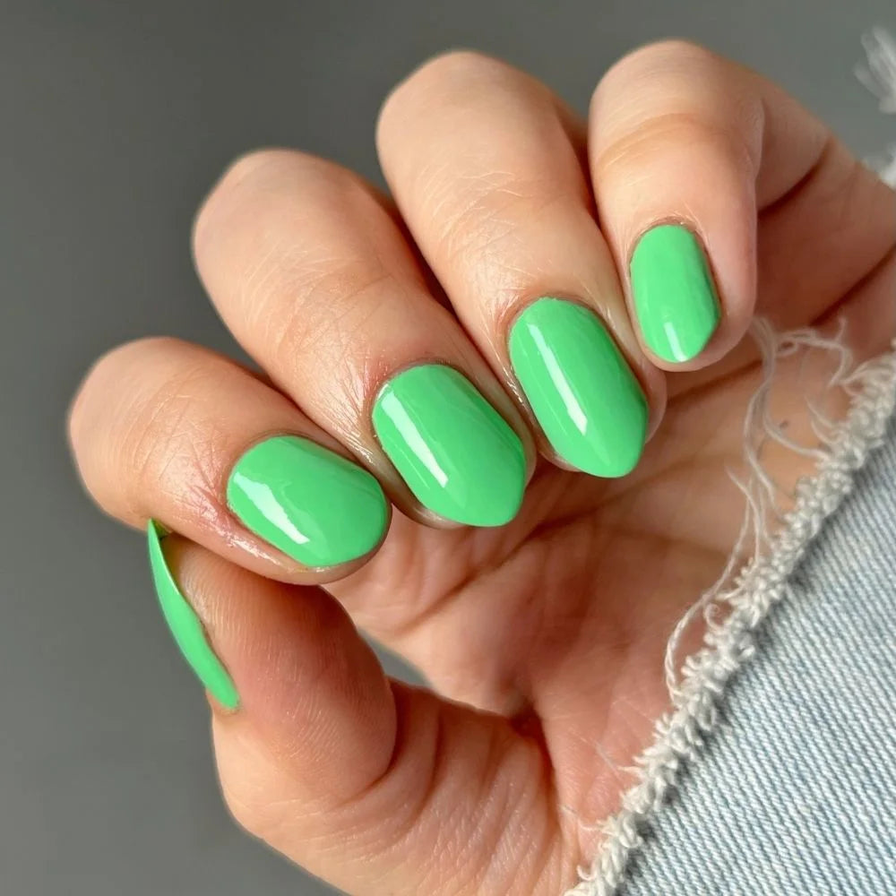 Matcha Love Minis